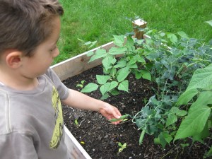 Looks Fat Enough, I Suppose