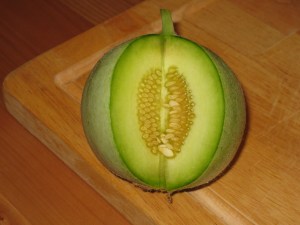 Savor Melon Cut 2 Too Early, Sucker