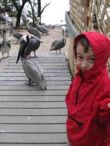 yep, those are some birds right there