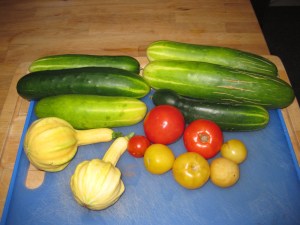 Last of the Mohicans