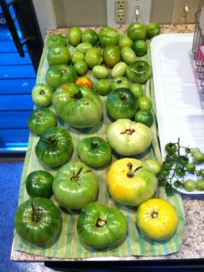 Green Tomatoes